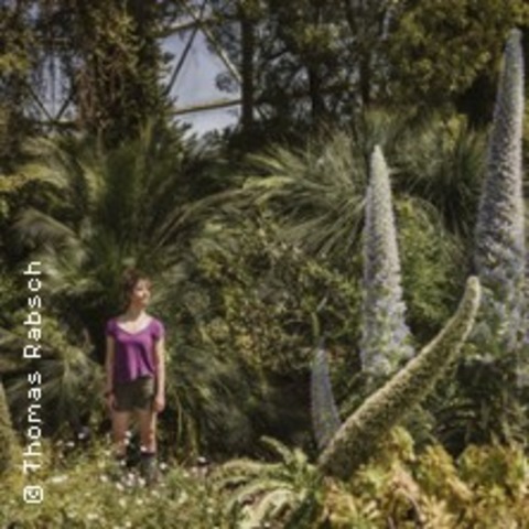 Urauff�hrung - Das gr�ne K�nigreich - D�SSELDORF - 28.02.2026 16:00