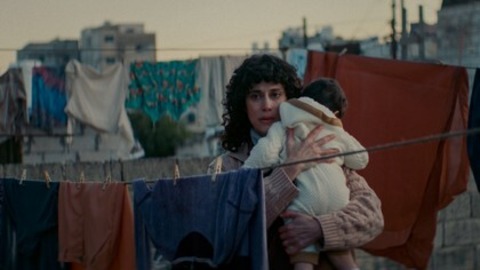 Im Schatten des Orangenbaums - Freiburg - 25.11.2025 20:00