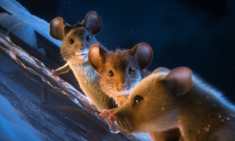 Mission: Musejagd - Chaos unterm Weihnachtsbaum - Basel - 20.11.2025 14:00