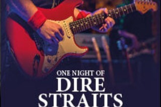 One Night of Dire Straits - Tribute Show