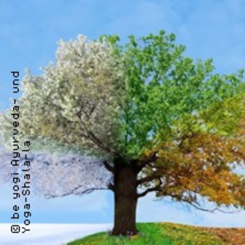 Ayurveda im Rhythmus der Jahreszeiten - Karlsruhe - 07.03.2026 16:30