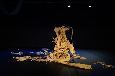 Rapt - Premiere - K�ln - 24.01.2026 20:00