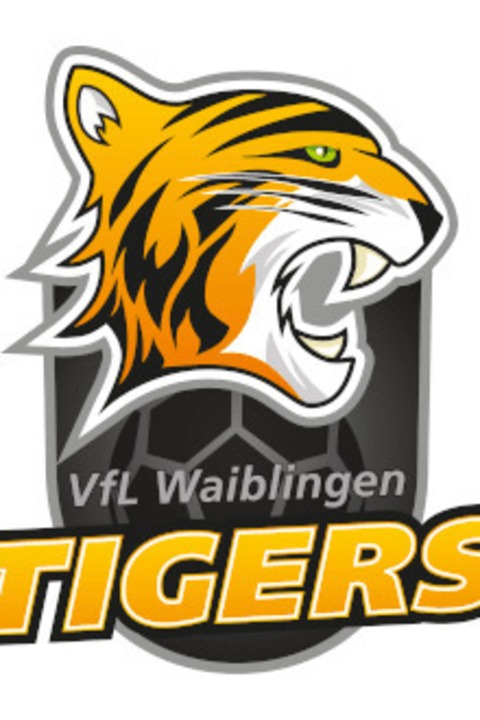 Rostocker Handball Club - VfL Waiblingen - Rostock - 09.05.2026 18:30