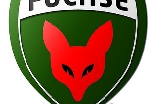 Rostocker Handball Club - Fchse Berlin