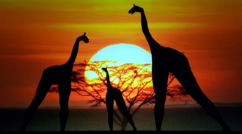 Moving Shadows - On Fire - Lahr - 28.02.2026 20:00