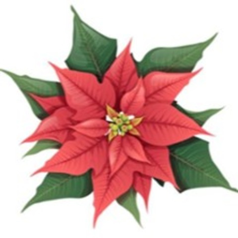 Unsere Weihnachtsrevue 2025 - SAALFELD - 20.12.2025 19:00