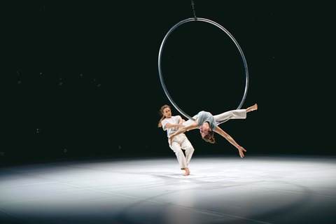 still.dependent - Potsdam - 14.02.2026 20:00