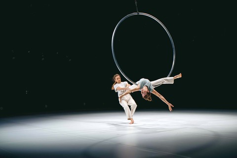 still.dependent - Potsdam - 13.02.2026 20:00