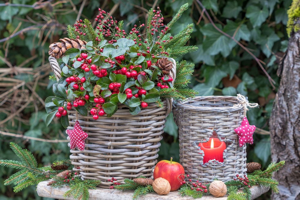 Nol au Jardin - Mittelbergheim