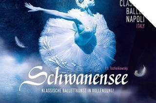 Schwanensee, 16.01.2026