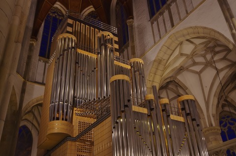 Weseler Domkonzert - Orchester & Orgel - Wesel - 15.11.2026 18:00