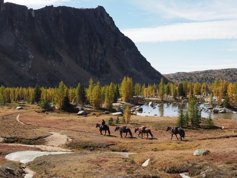 Long Way Home - Zu Pferd durch Amerika - Multivisionsshow - Remchingen - 21.10.2026 20:00
