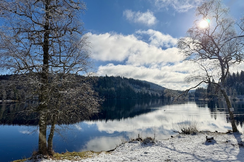 Windgfllweiher - Lenzkirch