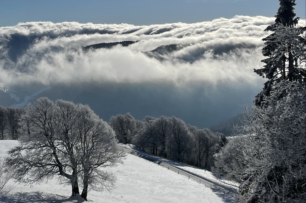 Eduardshhe - Bollschweil