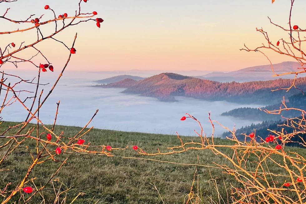 Eduardshhe - Bollschweil