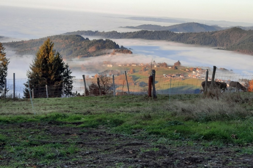 Eduardshhe - Bollschweil