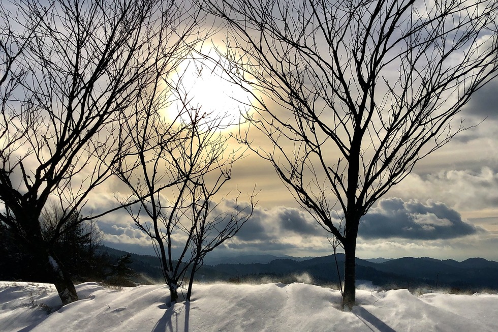 Eduardshhe - Bollschweil