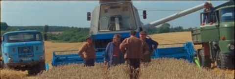 Rote Sterne berm Feld - Kehl - 28.11.2025 17:10