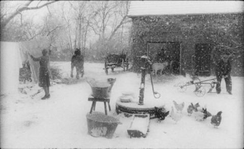 Rote Sterne berm Feld - Kehl - 28.11.2025 17:10