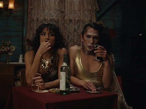 Der geheimnisvolle Blick des Flamingos - Freiburg - 01.12.2025 18:00