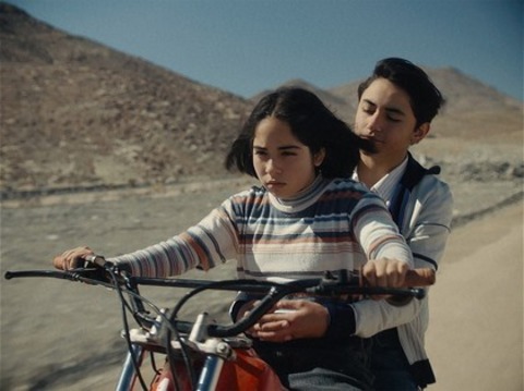 Der geheimnisvolle Blick des Flamingos - Freiburg - 01.12.2025 18:00