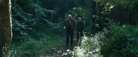 Anemone - Freiburg - 27.11.2025 20:10