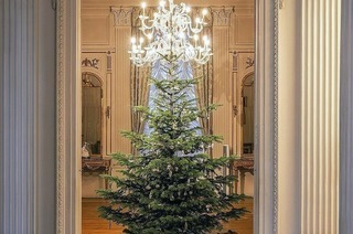 Im Haus zum Kirschgarten sorgen 15 Tannenbume fr eine festliche Stimmung. Dazu gibt es ein vielfltiges Veranstaltungsangebot und Fhrungen.