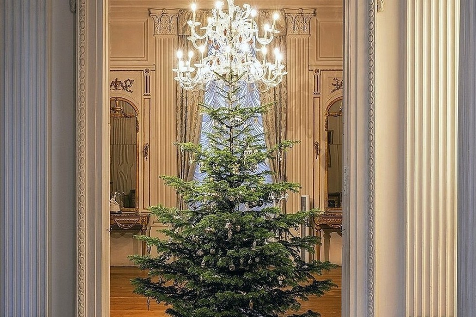 Im Haus zum Kirschgarten sorgen 15 Tannenbume fr eine festliche Stimmung. Dazu gibt es ein vielfltiges Veranstaltungsangebot und Fhrungen. - Badische Zeitung TICKET