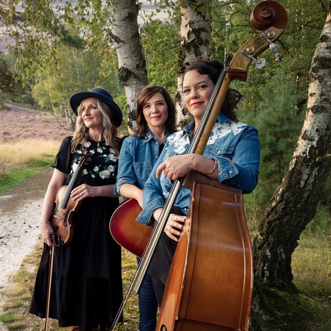 The Joni Project - Melsungen - 17.07.2026 19:30