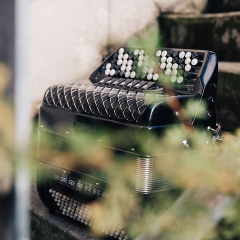 Elblandia 2026: Voll Akkordeon - Instrument des Jahres - Stadt Wehlen - 09.05.2026 16:00