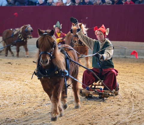 Neust�dter Weihnachtsgala 2026 - Die m�rchenhafte Pferdeshow zum Fest! - Neustadt (Dosse) - 06.12.2026 14:00