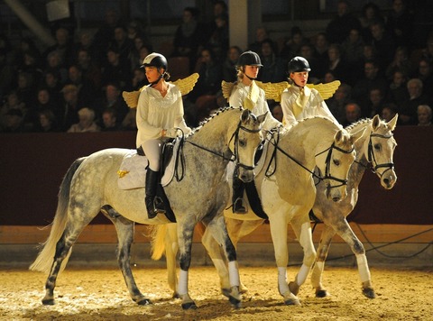 Neust�dter Weihnachtsgala 2026 - Die m�rchenhafte Pferdeshow zum Fest! - Neustadt (Dosse) - 04.12.2026 17:00