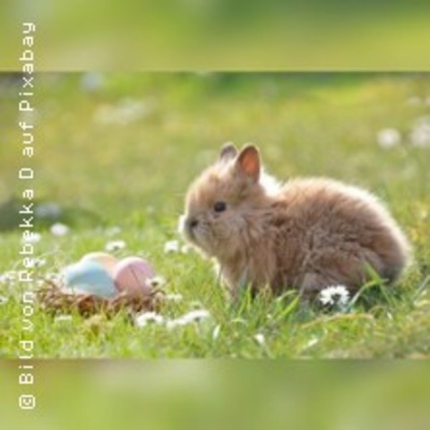 Osterbuffet - STOLPE - 06.04.2026 12:00