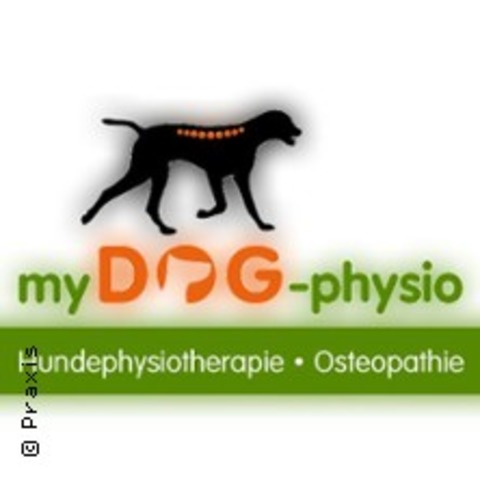 Massageworkshop f�r Hundebesitzer und Hund - B�NDE - 28.11.2026 10:00