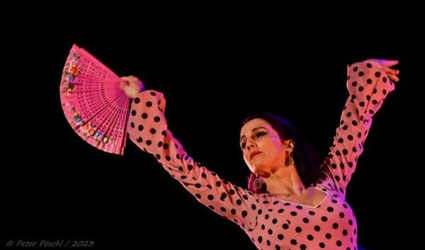 Tablao Flamenco - Flamencokonzert mit Tanz, Gitarre und Gesang - Ludwigsburg - 22.03.2026 18:00