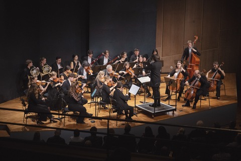 S�ddeutsches Sinfonieorchester: intime Klangwelten! - Sinsheim - 22.02.2026 13:00