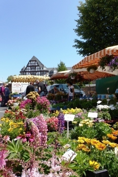 Erlebnis Wochenmarkt - Schlemmer-Wochenmarktf�hrung - Gie�en - 17.06.2026 11:00