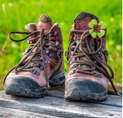 Gl�ckswanderung - Singlewanderung mit Gl�cksmomenten - Gr�nberg - 30.08.2026 11:00