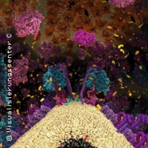 Die Chemie des Lebens – Das Unsichtbare in uns 3D - HAMBURG - 09.05.2026 14:30
