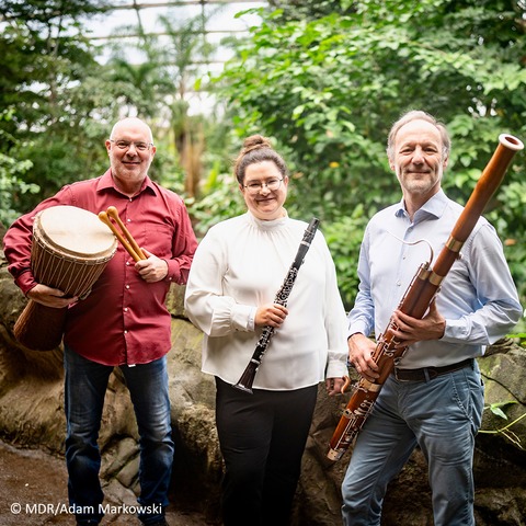 �ber den Wipfeln II - Unstrut-Hainich - 23.08.2026 16:00