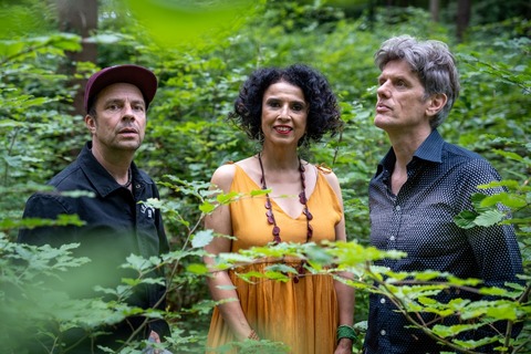 Paula Morelenbaums „Bossarenova Trio“ - Levitar - L�neburg - 22.10.2026 20:00