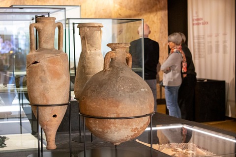 Das perfekte Dinner - Augst - 22.02.2026 11:00