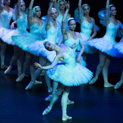 Moldawisches Nationalballett - Schwanensee - Emden - 17.12.2025 19:30