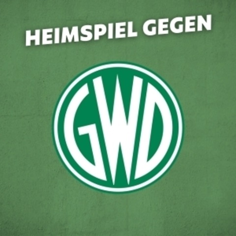 TV Emsdetten - GWD Minden II - Emsdetten - 17.01.2026 19:00