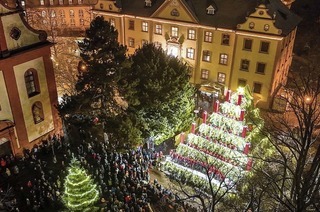 Ein Gospelchor aus Zrich singt zur Erffnung des Singenden Weihnachtsbaums in Waldkirch