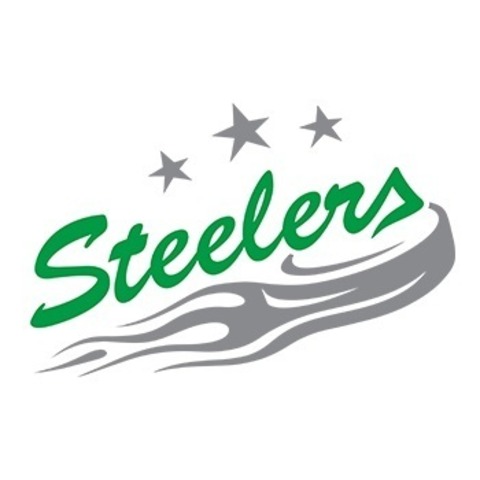 Ravensburg Towerstars - Bietigheim Steelers - Ravensburg - 08.02.2026 18:30