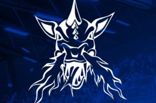 VfL SparkassenStars Bochum vs. Artland Dragons