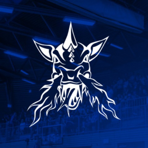 VfL SparkassenStars Bochum vs. Artland Dragons - Bochum - 31.01.2026 19:00