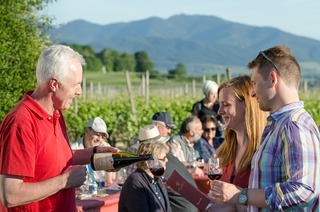 Kulinarische Weinwanderung auf dem Bad Krozinger Rebberg