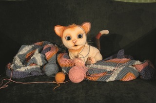 Matze, die kleine Miezekatze